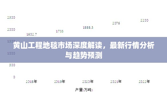 黄山工程地毯市场深度解读，最新行情分析与趋势预测