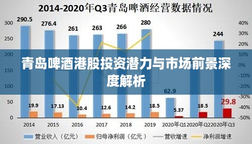 青岛啤酒港股投资潜力与市场前景深度解析