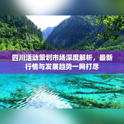 四川活动策划市场深度解析，最新行情与发展趋势一网打尽