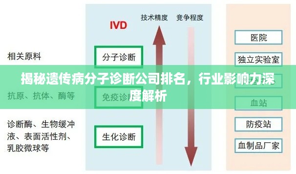 揭秘遗传病分子诊断公司排名，行业影响力深度解析