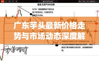 广东芋头最新价格走势与市场动态深度解析