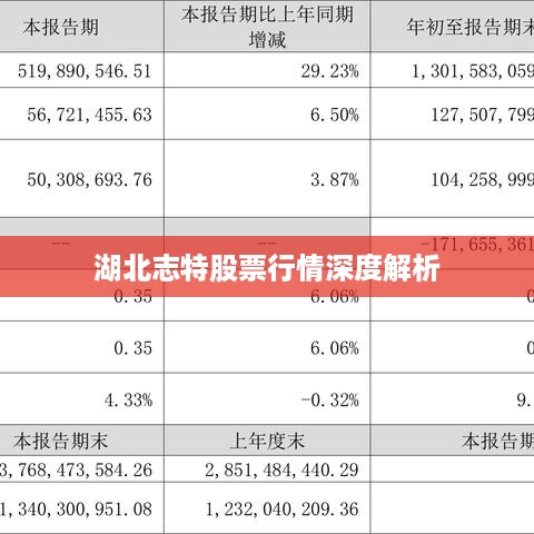 湖北志特股票行情深度解析