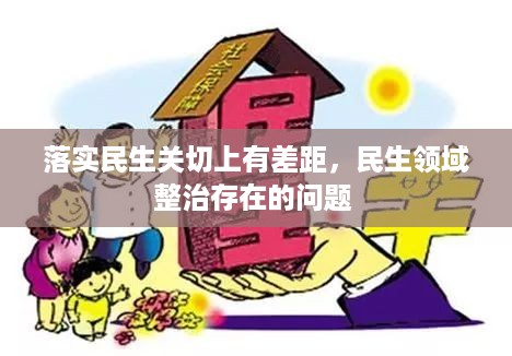 落实民生关切上有差距，民生领域整治存在的问题 