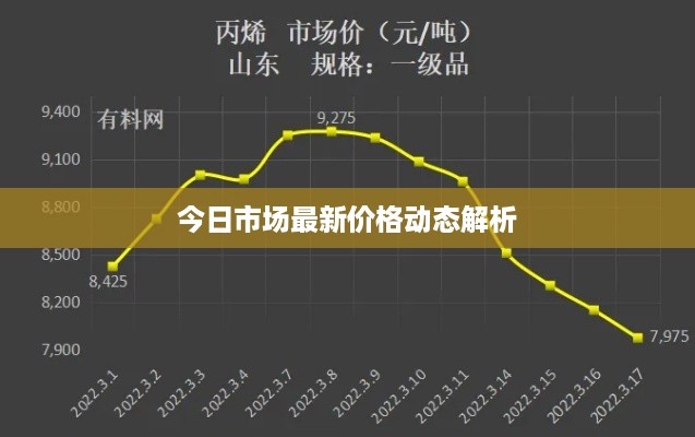 今日市场最新价格动态解析