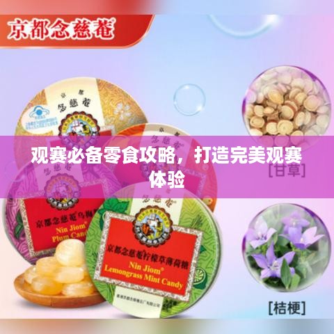 观赛必备零食攻略，打造完美观赛体验