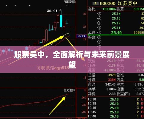 股票吴中，全面解析与未来前景展望