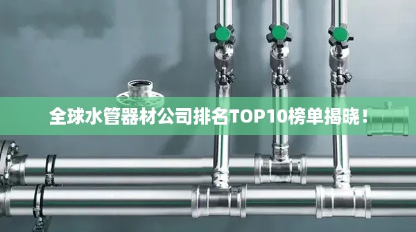 全球水管器材公司排名TOP10榜单揭晓！