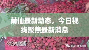 莆仙最新动态，今日视线聚焦最新消息