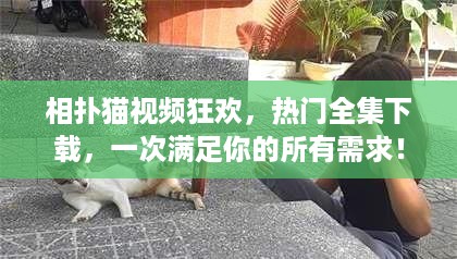 相扑猫视频狂欢，热门全集下载，一次满足你的所有需求！
