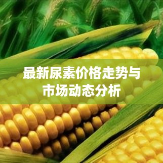 最新尿素价格走势与市场动态分析