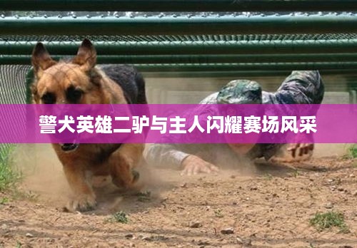 警犬英雄二驴与主人闪耀赛场风采