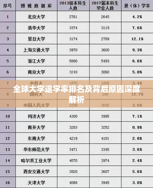 全球大学退学率排名及背后原因深度解析