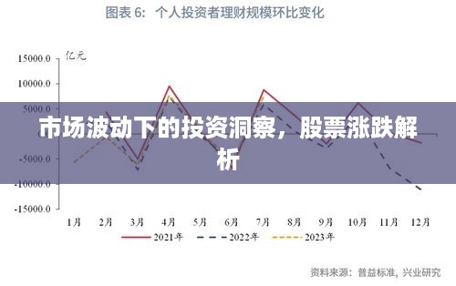 市场波动下的投资洞察，股票涨跌解析