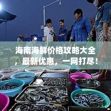 海南海鲜价格攻略大全，最新优惠，一网打尽！