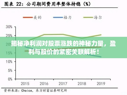 揭秘净利润对股票涨跌的神秘力量，盈利与股价的紧密关联解析！
