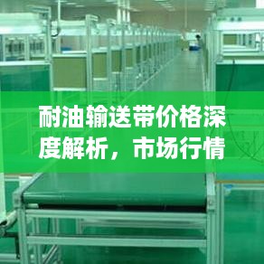 耐油输送带价格深度解析，市场行情、品质与成本一目了然