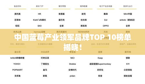 中国蓝莓产业领军品牌TOP 10榜单揭晓！