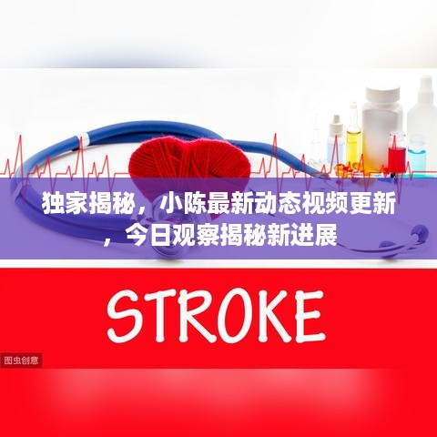 独家揭秘，小陈最新动态视频更新，今日观察揭秘新进展