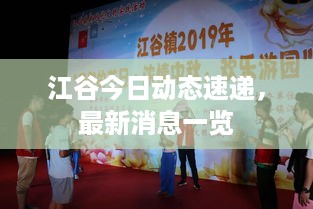 江谷今日动态速递，最新消息一览