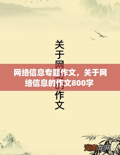 网络信息专题作文，关于网络信息的作文800字 