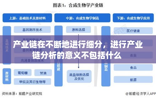 产业链在不断地进行细分，进行产业链分析的意义不包括什么 