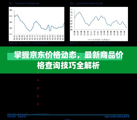 掌握京东价格动态，最新商品价格查询技巧全解析