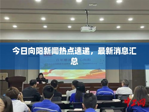 今日向阳新闻热点速递，最新消息汇总