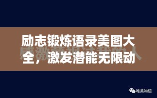 励志锻炼语录美图大全，激发潜能无限动力源泉！