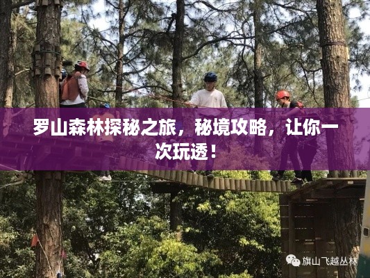 罗山森林探秘之旅，秘境攻略，让你一次玩透！