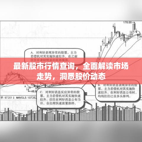 最新股市行情查询，全面解读市场走势，洞悉股价动态