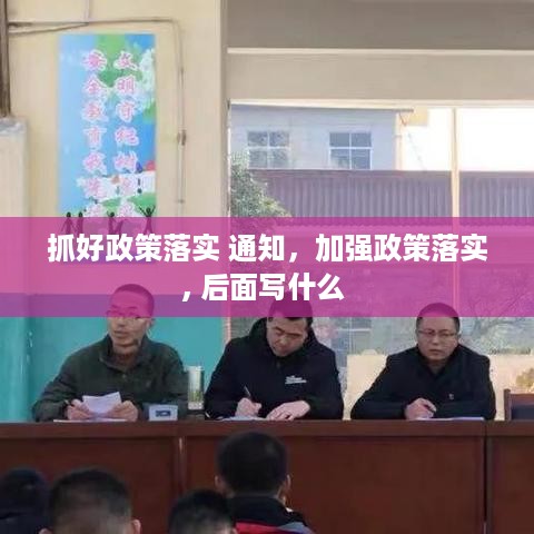 抓好政策落实 通知，加强政策落实, 后面写什么 