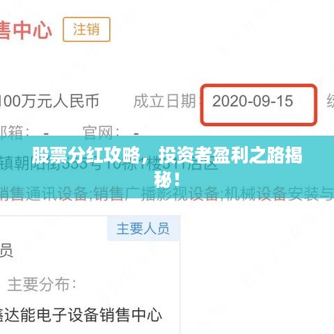 股票分红攻略，投资者盈利之路揭秘！