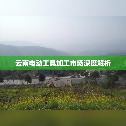 云南电动工具加工市场深度解析