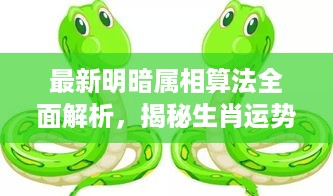 最新明暗属相算法全面解析，揭秘生肖运势奥秘