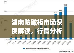 湖南防磁柜市场深度解读，行情分析与趋势展望