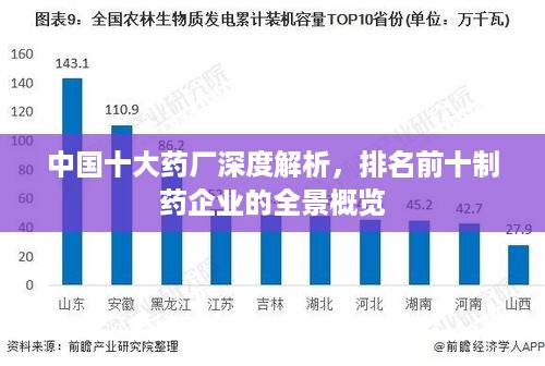 中国十大药厂深度解析，排名前十制药企业的全景概览