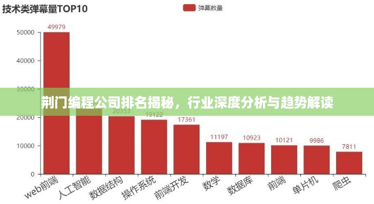 荆门编程公司排名揭秘，行业深度分析与趋势解读