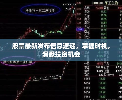 股票最新发布信息速递，掌握时机，洞悉投资机会