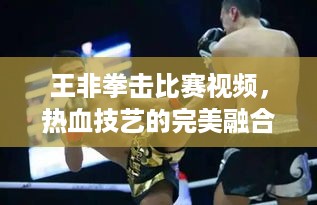 王非拳击比赛视频，热血技艺的完美融合