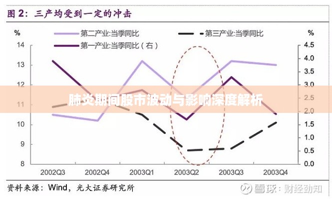 肺炎期间股市波动与影响深度解析