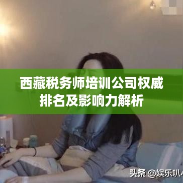 西藏税务师培训公司权威排名及影响力解析