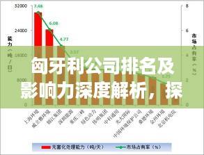 匈牙利公司排名及影响力深度解析，探究其在国际市场的地位与影响力