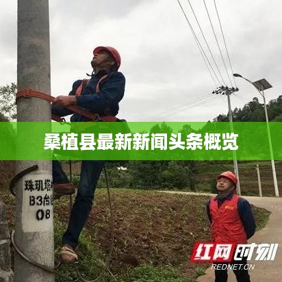 桑植县最新新闻头条概览