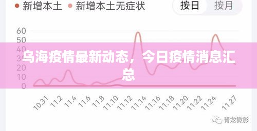 乌海疫情最新动态，今日疫情消息汇总