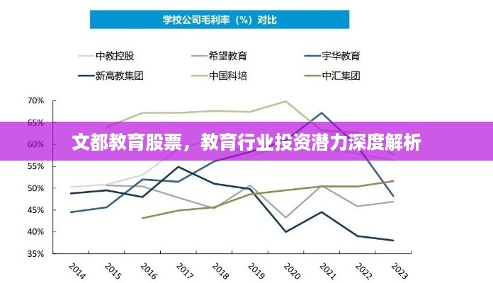 文都教育股票，教育行业投资潜力深度解析