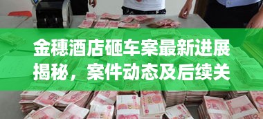 金穗酒店砸车案最新进展揭秘，案件动态及后续关注焦点