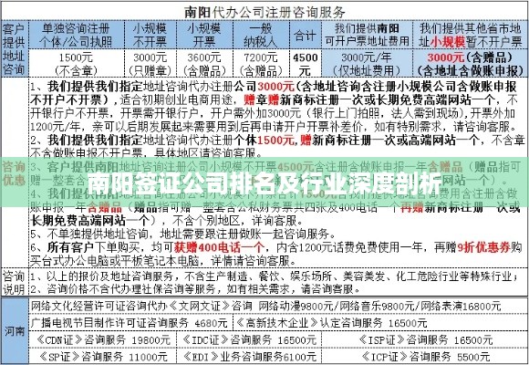 南阳签证公司排名及行业深度剖析