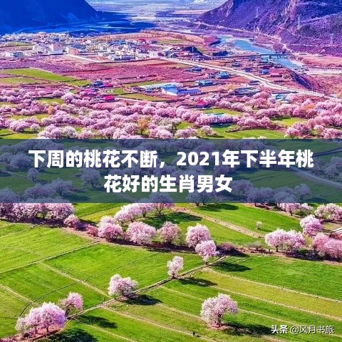 下周的桃花不断，2021年下半年桃花好的生肖男女 