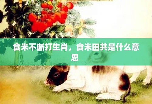 食米不断打生肖，食米田共是什么意思 