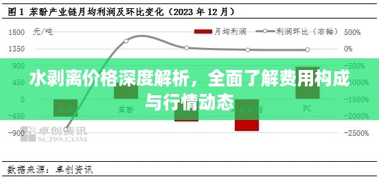 水剥离价格深度解析，全面了解费用构成与行情动态